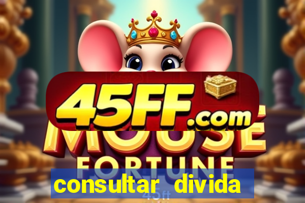 consultar divida casas bahia